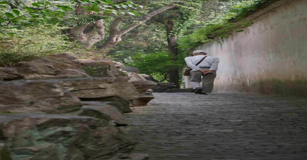 Solo Travel Tips for Seniors: Confident, Safe & Fearless Trips exploring a peaceful destination with luggage on a safe scenic path