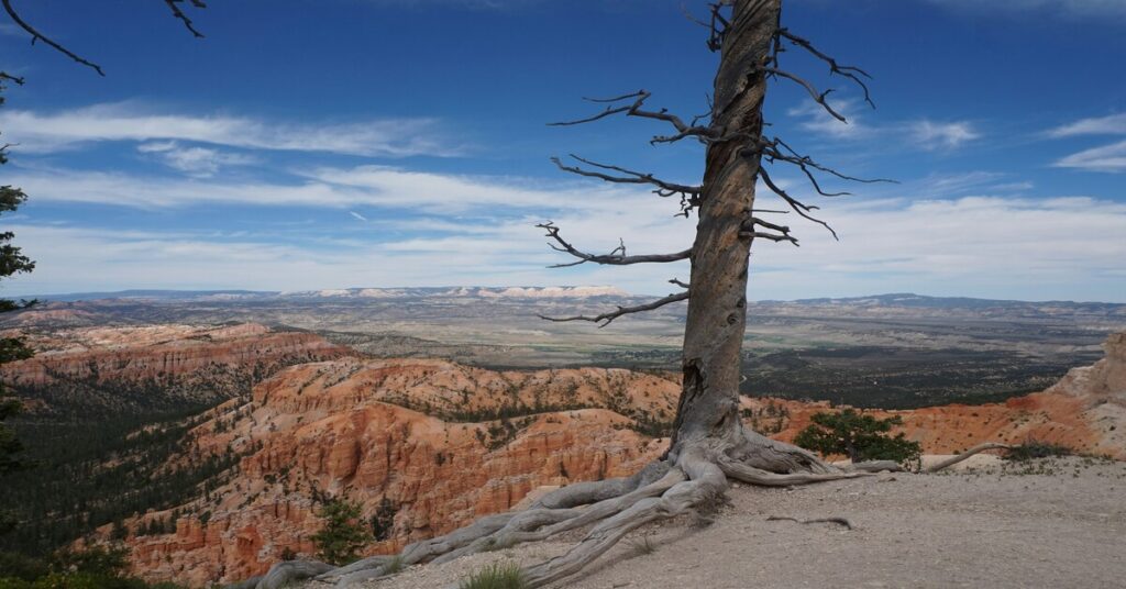 Reverse Solo Touring: Outsmart Crowds & Explore US Quietly 3 Reverse Solo Touring: Outsmart Crowds & Explore the US Quietly visiting US National Parks and famous landmarks