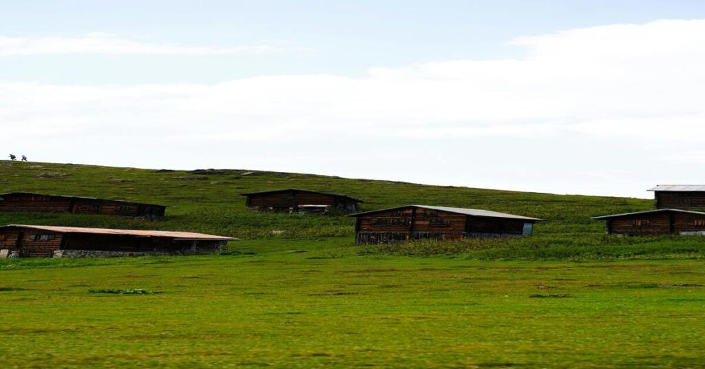 Digital Detox & Mindfulness Travel: Is It Safe Alone? 10 Digital Detox & Mindfulness Travel: Is It Safe Alone? Solo traveler unplugged in quiet nature