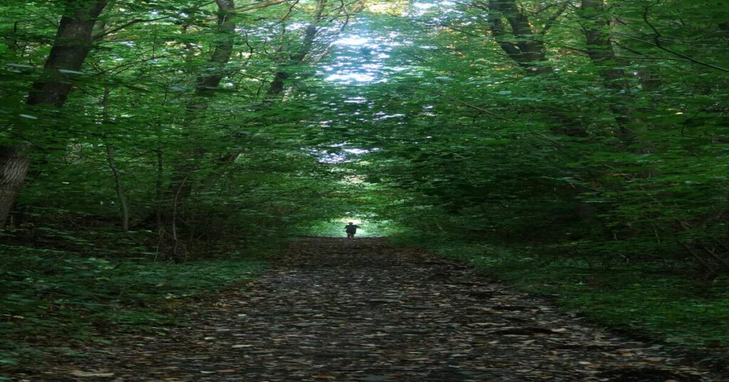 How Quiet Retreats Reduce Solo Travel Anxiety